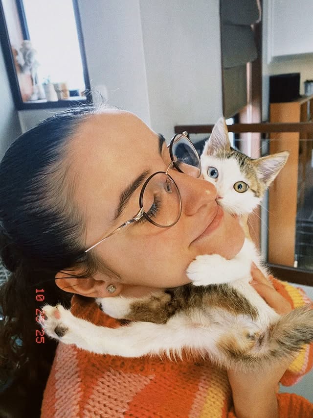 Kitten in care